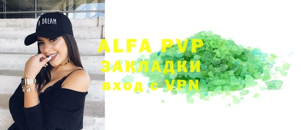 амф Вяземский