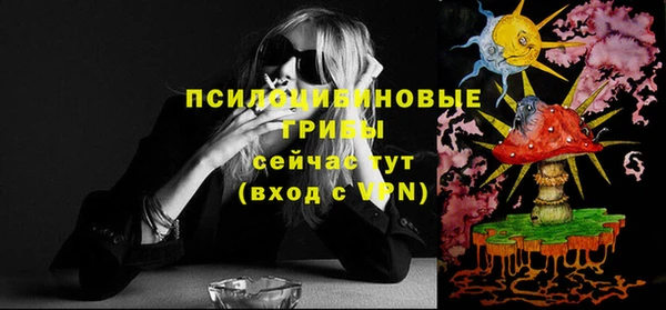 Альфа ПВП Вязники