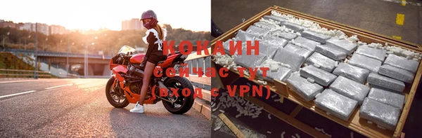 дурь Горняк