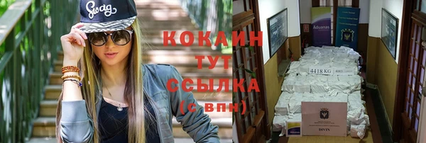 крисы Горно-Алтайск