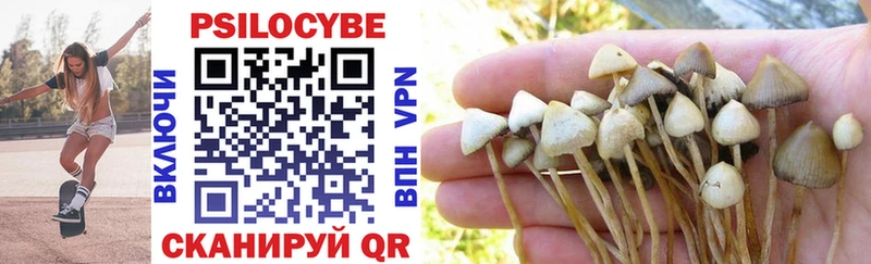 продажа наркотиков Находка Галлюциногенные грибы Cubensis